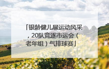 银龄健儿展运动风采，20队竞逐市运会（老年组）气排球赛