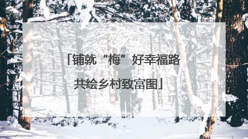 铺就“梅”好幸福路 共绘乡村致富图