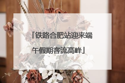 铁路合肥站迎来端午假期客流高峰