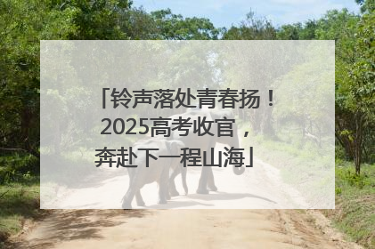 铃声落处青春扬！2025高考收官，奔赴下一程山海