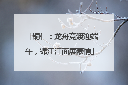 铜仁：龙舟竞渡迎端午，锦江江面展豪情