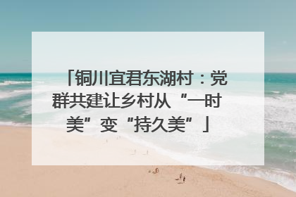 铜川宜君东湖村：党群共建让乡村从“一时美”变“持久美”