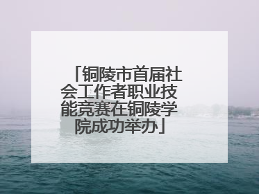 铜陵市首届社会工作者职业技能竞赛在铜陵学院成功举办