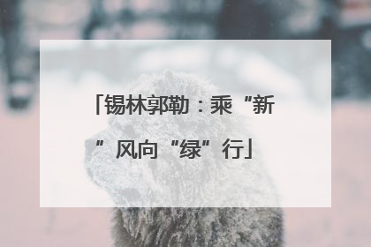 锡林郭勒：乘“新”风向“绿”行