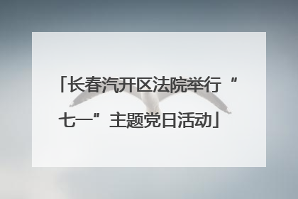 长春汽开区法院举行“七一”主题党日活动