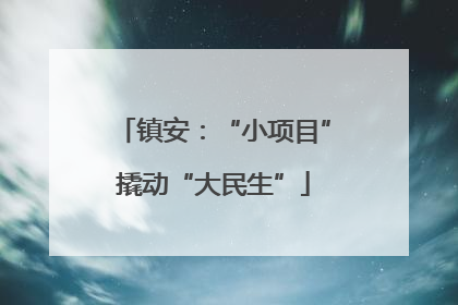 镇安：“小项目”撬动“大民生”
