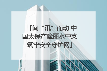 闻“汛”而动 中国太保产险丽水中支筑牢安全守护网