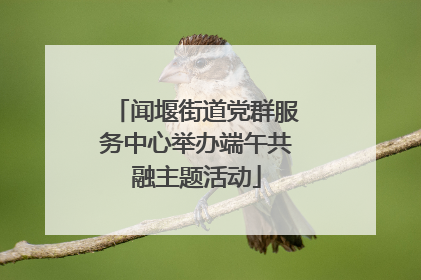 闻堰街道党群服务中心举办端午共融主题活动