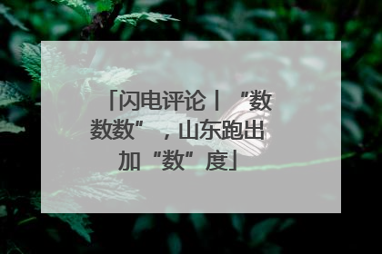 闪电评论丨“数数数”，山东跑出加“数”度