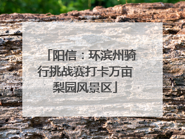阳信：环滨州骑行挑战赛打卡万亩梨园风景区