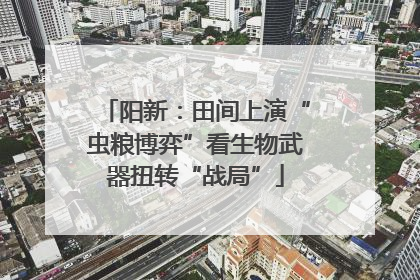阳新：田间上演“虫粮博弈”看生物武器扭转“战局”
