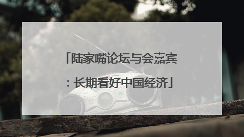 陆家嘴论坛与会嘉宾：长期看好中国经济