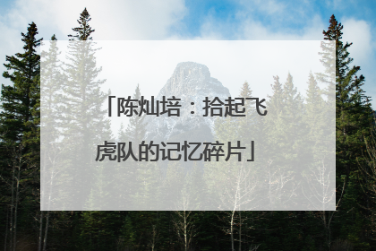 陈灿培：拾起飞虎队的记忆碎片