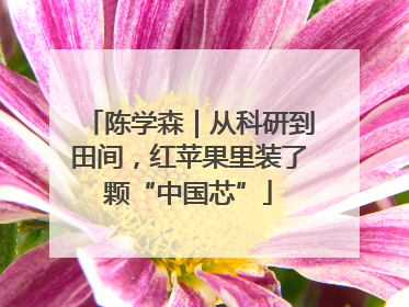 陈学森｜从科研到田间，红苹果里装了颗“中国芯”