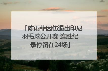 陈雨菲因伤退出印尼羽毛球公开赛 连胜纪录停留在24场
