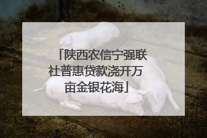 陕西农信宁强联社普惠贷款浇开万亩金银花海