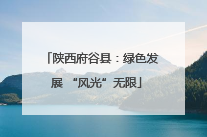 陕西府谷县：绿色发展 “风光”无限