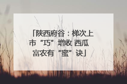 陕西府谷：梯次上市“巧”增收 西瓜富农有“蜜”诀