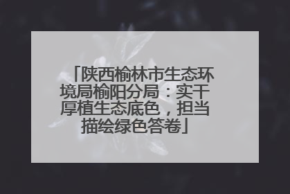 陕西榆林市生态环境局榆阳分局：实干厚植生态底色，担当描绘绿色答卷