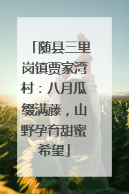 随县三里岗镇贾家湾村：八月瓜缀满藤，山野孕育甜蜜希望