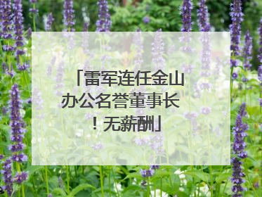 雷军连任金山办公名誉董事长！无薪酬
