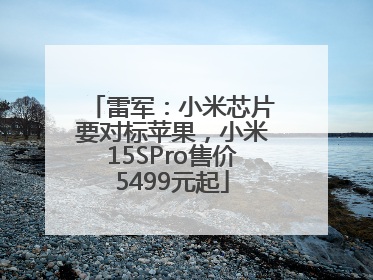 雷军：小米芯片要对标苹果，小米15SPro售价5499元起
