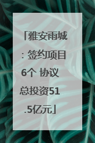 雅安雨城：签约项目6个 协议总投资51.5亿元