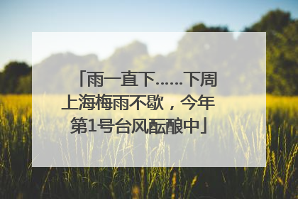 雨一直下……下周上海梅雨不歇，今年第1号台风酝酿中