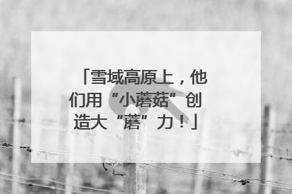 雪域高原上，他们用“小蘑菇”创造大“蘑”力！