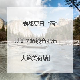 霸都夏日“荷”其美？解锁合肥五大绝美荷塘