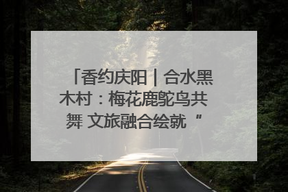 香约庆阳｜合水黑木村：梅花鹿鸵鸟共舞 文旅融合绘就“诗与远方”