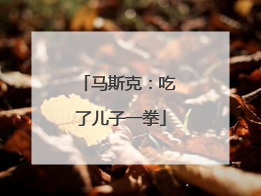 马斯克：吃了儿子一拳