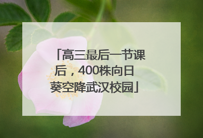 高三最后一节课后，400株向日葵空降武汉校园