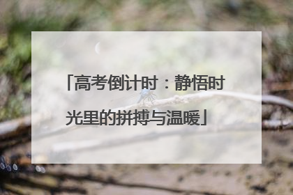 高考倒计时：静悟时光里的拼搏与温暖