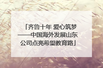 齐鲁十年 爱心筑梦——中国海外发展山东公司点亮希望教育路