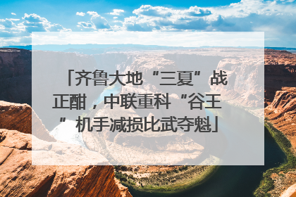 齐鲁大地“三夏”战正酣，中联重科“谷王”机手减损比武夺魁