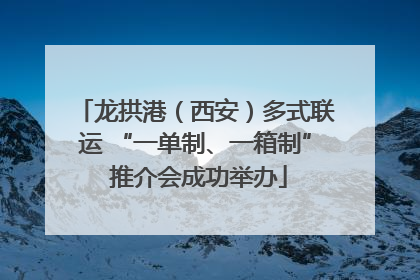 龙拱港（西安）多式联运 “一单制、一箱制” 推介会成功举办