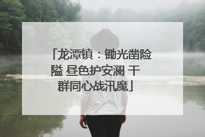 龙潭镇：锄光凿险隘 昼色护安澜 干群同心战汛魔