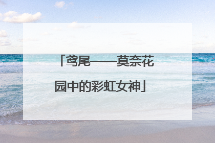 鸢尾——莫奈花园中的彩虹女神