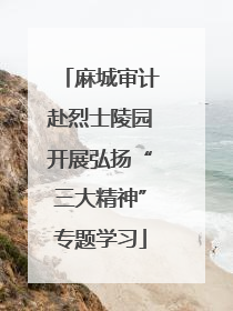 麻城审计赴烈士陵园开展弘扬“三大精神”专题学习