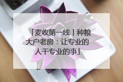 麦收第一线丨种粮大户老房：让专业的人干专业的事