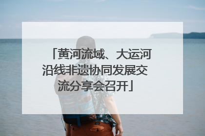 黄河流域、大运河沿线非遗协同发展交流分享会召开