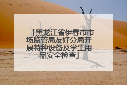 黑龙江省伊春市市场监管局友好分局开展特种设备及学生用品安全检查