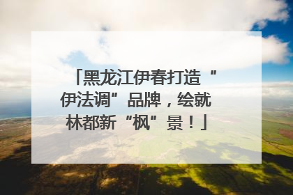 黑龙江伊春打造“伊法调”品牌，绘就林都新“枫”景！