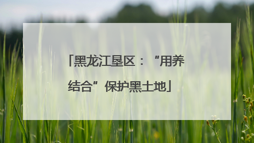 黑龙江垦区：“用养结合”保护黑土地