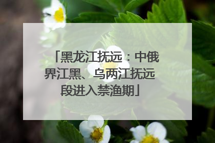 黑龙江抚远：中俄界江黑、乌两江抚远段进入禁渔期