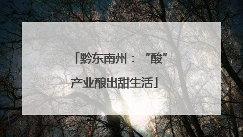 黔东南州：“酸”产业酿出甜生活
