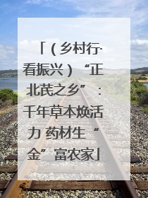（乡村行·看振兴）“正北芪之乡”：千年草本焕活力 药材生“金”富农家