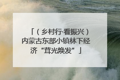 （乡村行·看振兴）内蒙古东部小镇林下经济“茸光焕发”