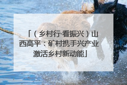 （乡村行·看振兴）山西高平：矿村携手兴产业 激活乡村新动能